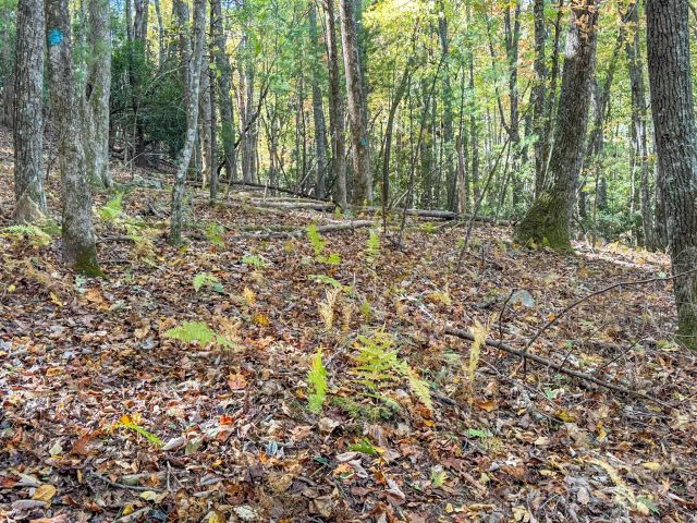 345 Christa Lane, Arden, NC, 28704