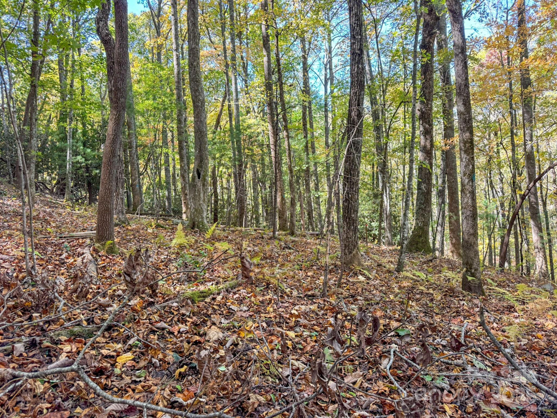 345 Christa Lane - Photo 2