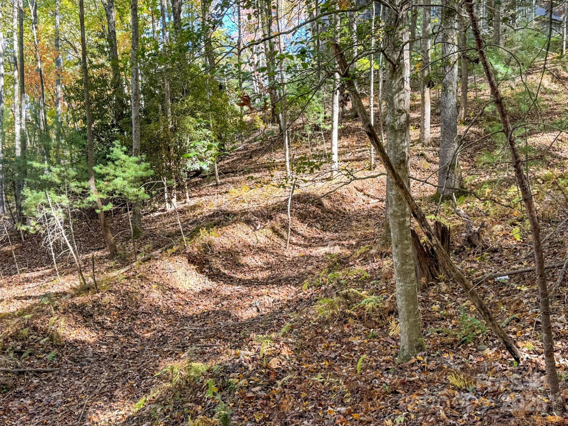 345 Christa Lane - Photo 11