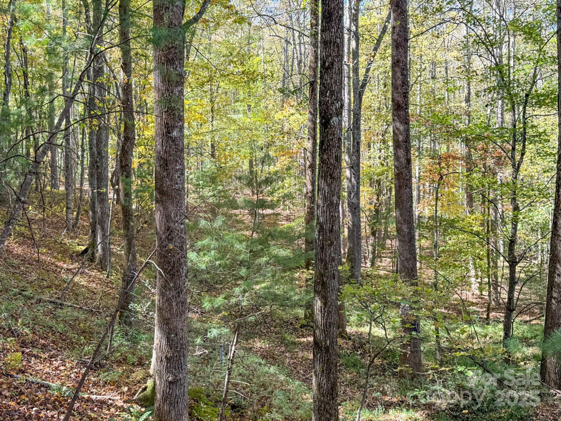 345 Christa Lane - Photo 12