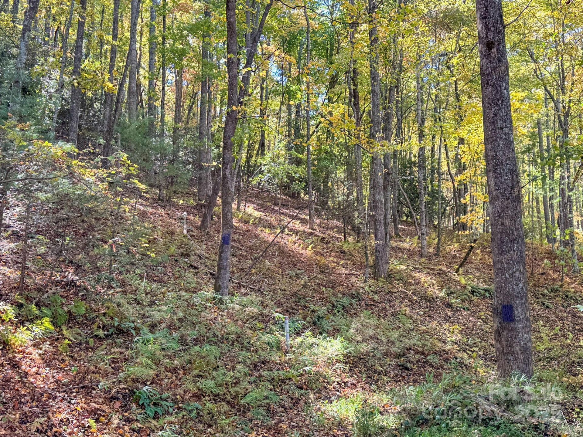 345 Christa Lane - Photo 13