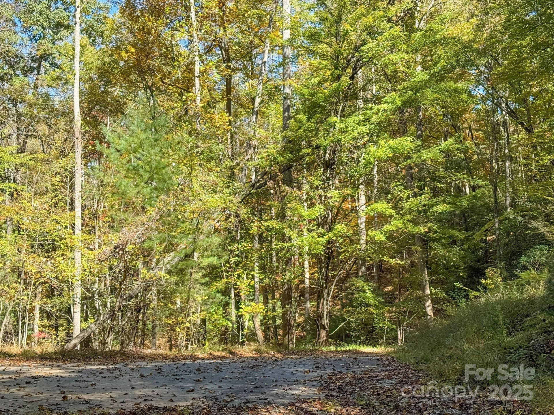 345 Christa Lane - Photo 14