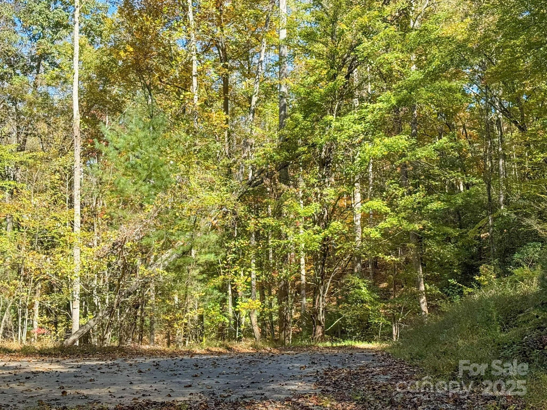 345 Christa Lane - Photo 14