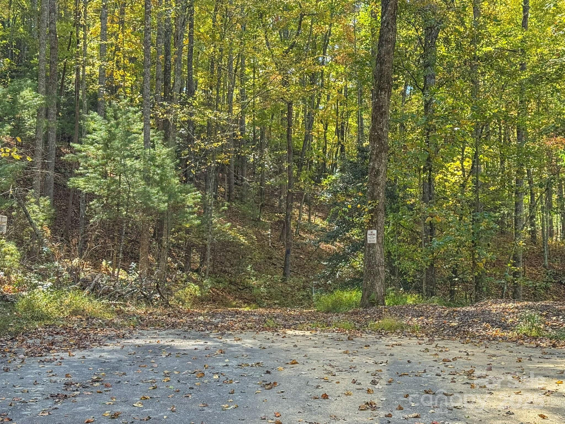 345 Christa Lane - Photo 17