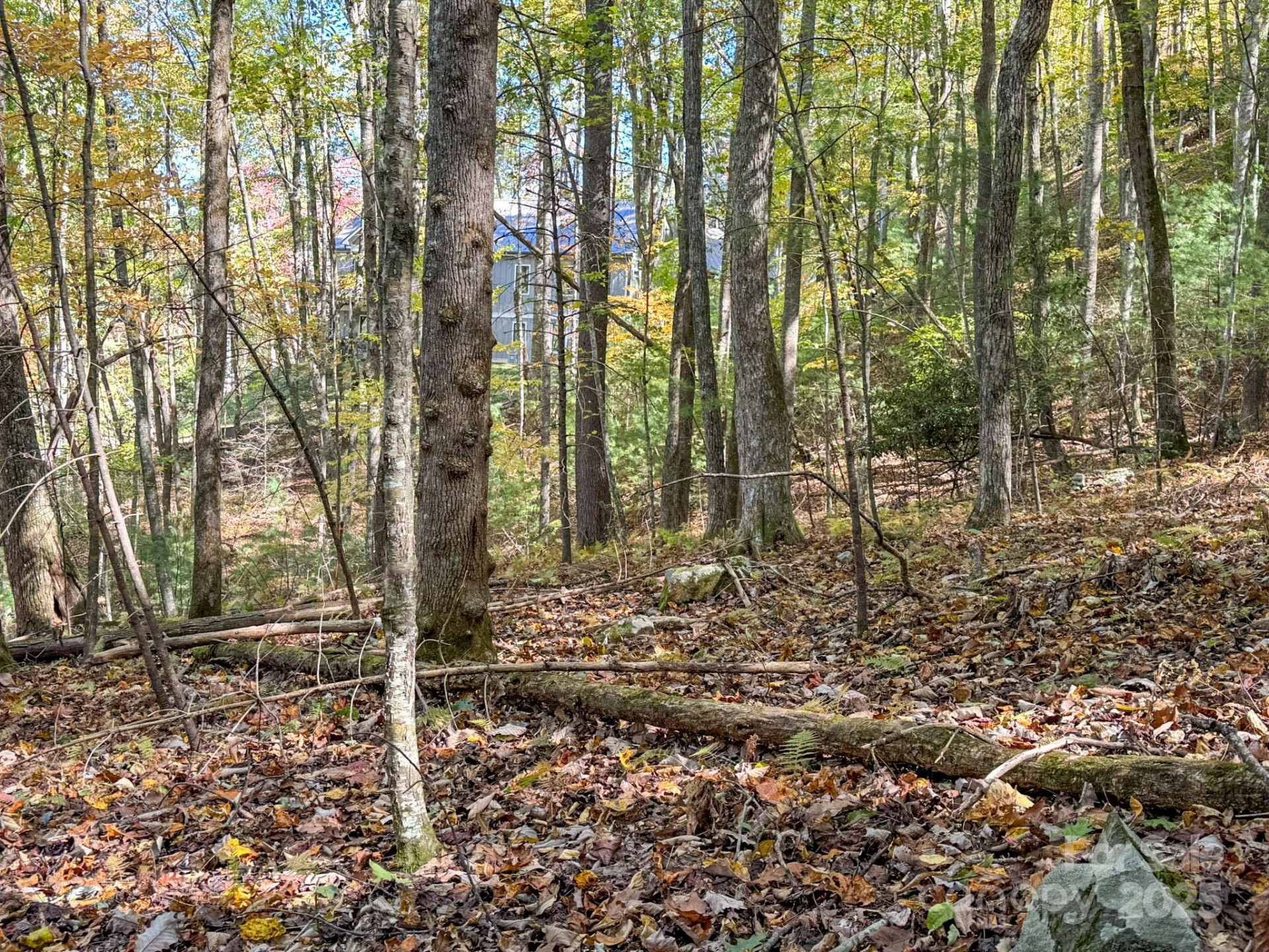 345 Christa Lane - Photo 3