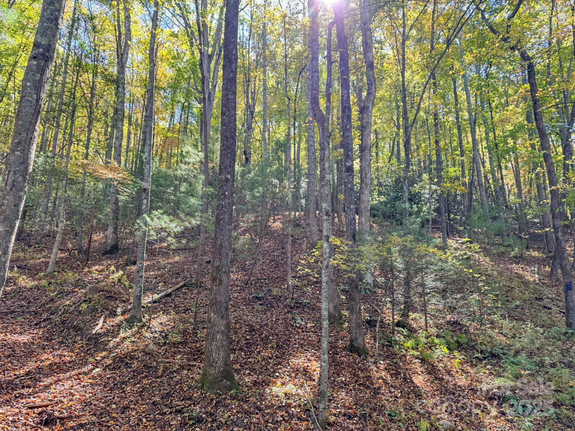 345 Christa Lane - Photo 5