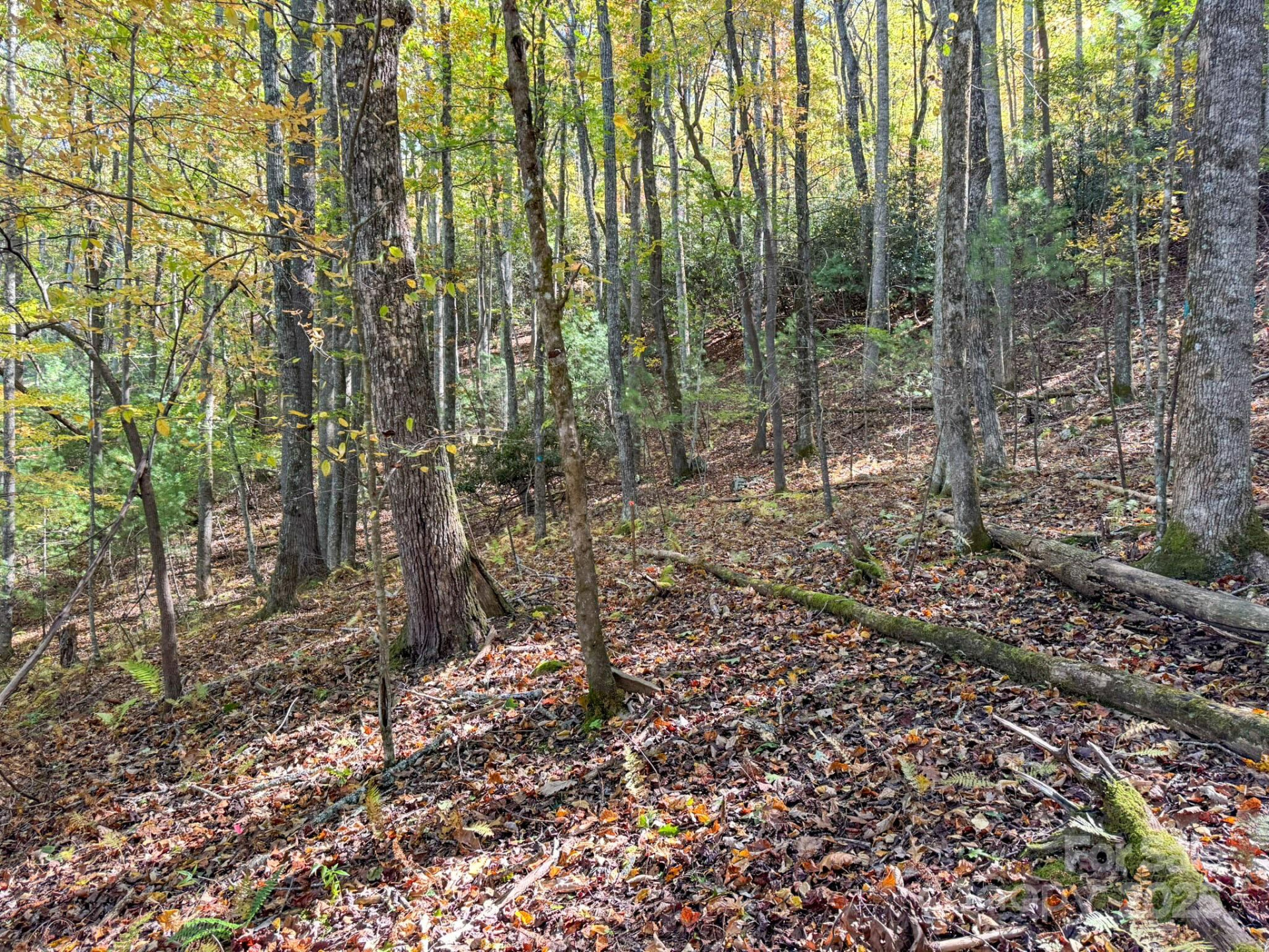 345 Christa Lane - Photo 6