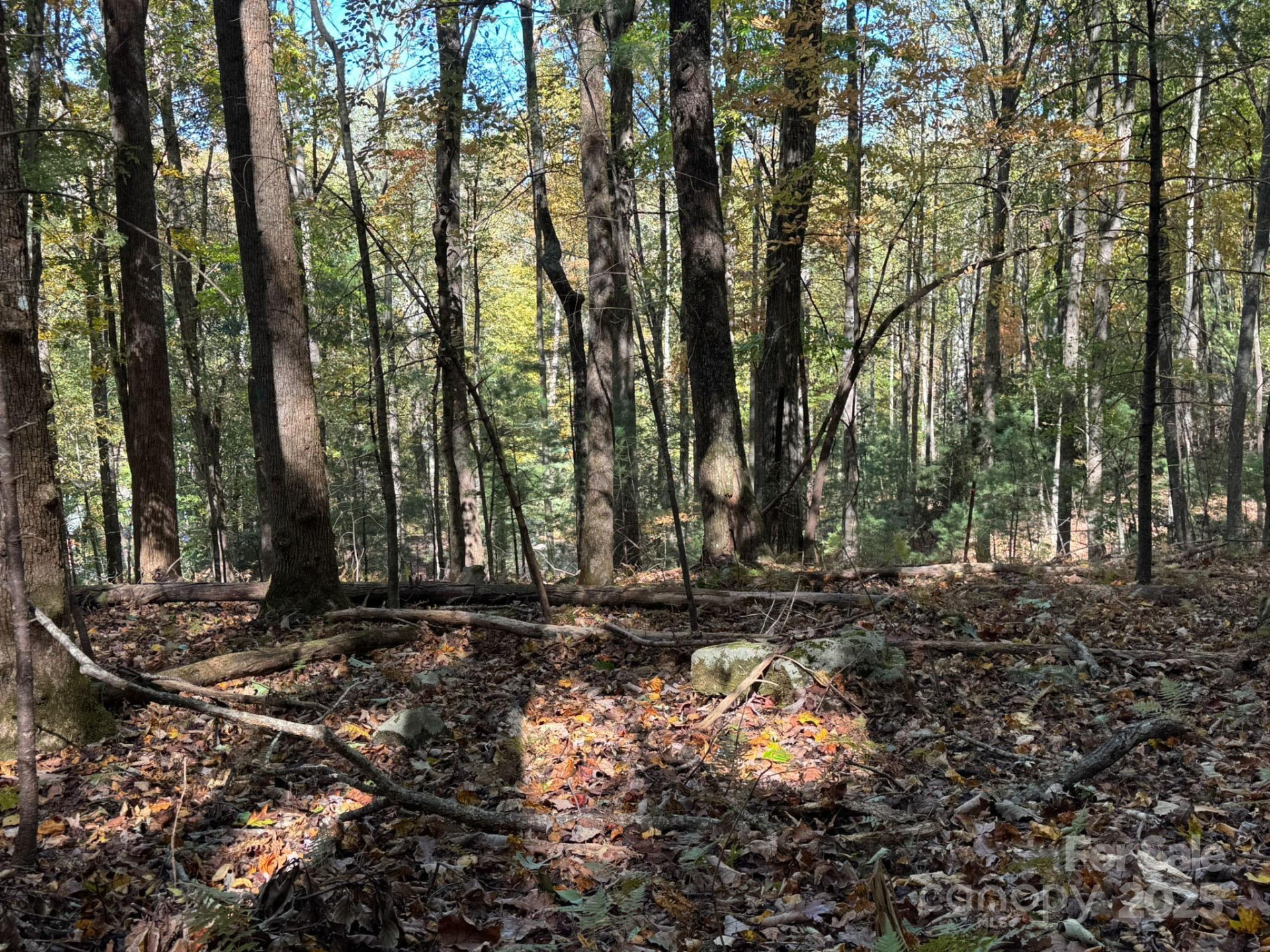 345 Christa Lane - Photo 7