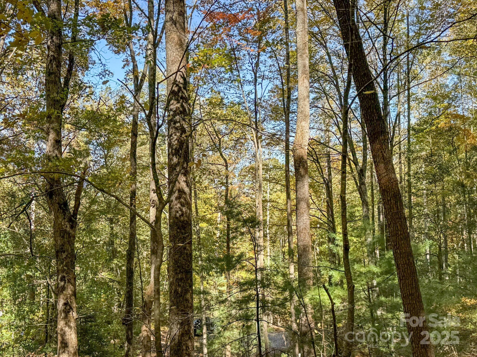 345 Christa Lane - Photo 9