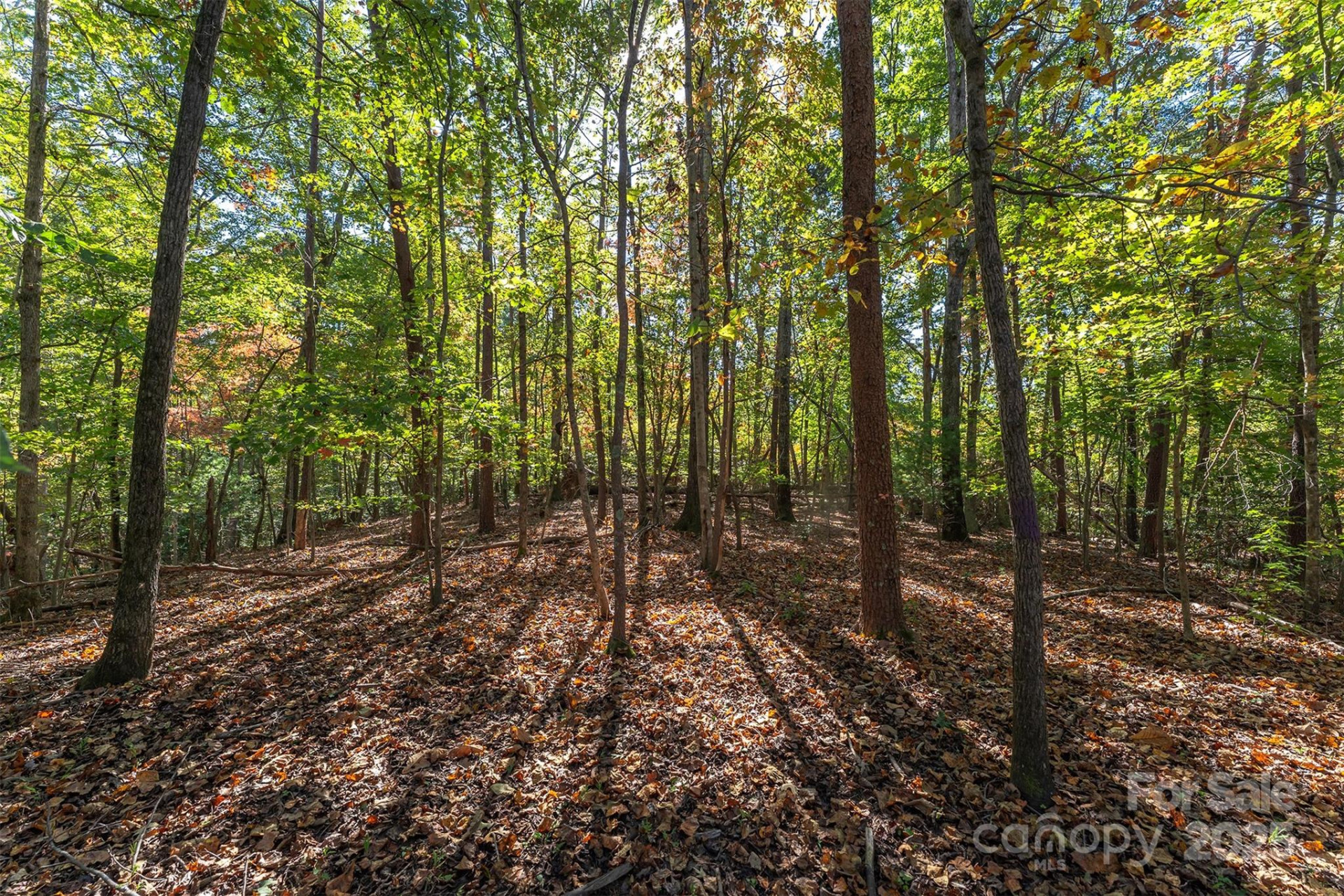 141 Willets Point Boulevard - Photo 25