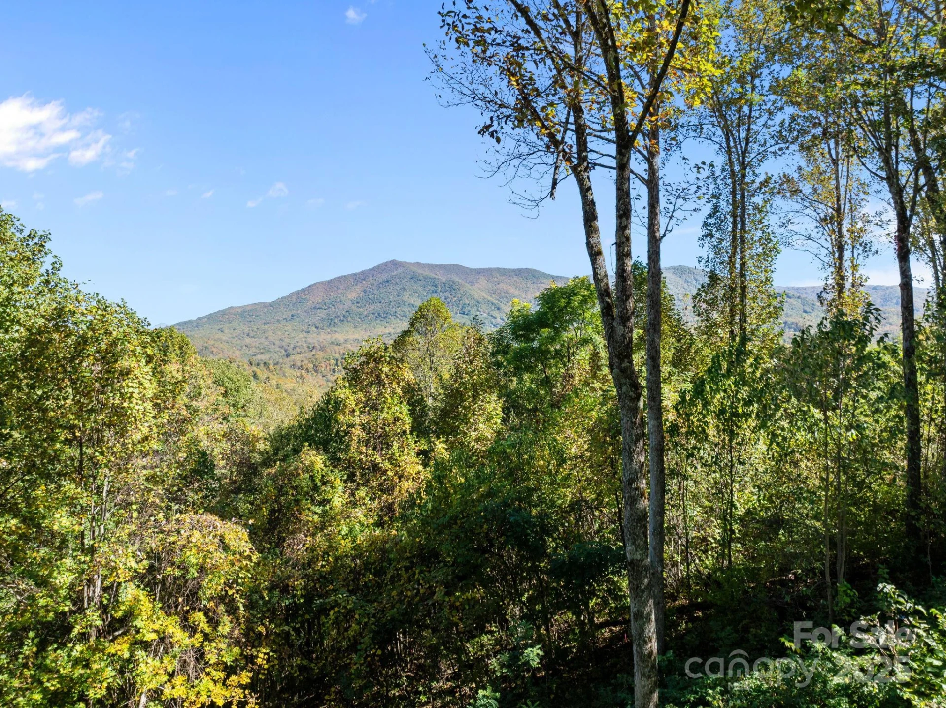 69 Blowing Ridge Lane - Photo 47