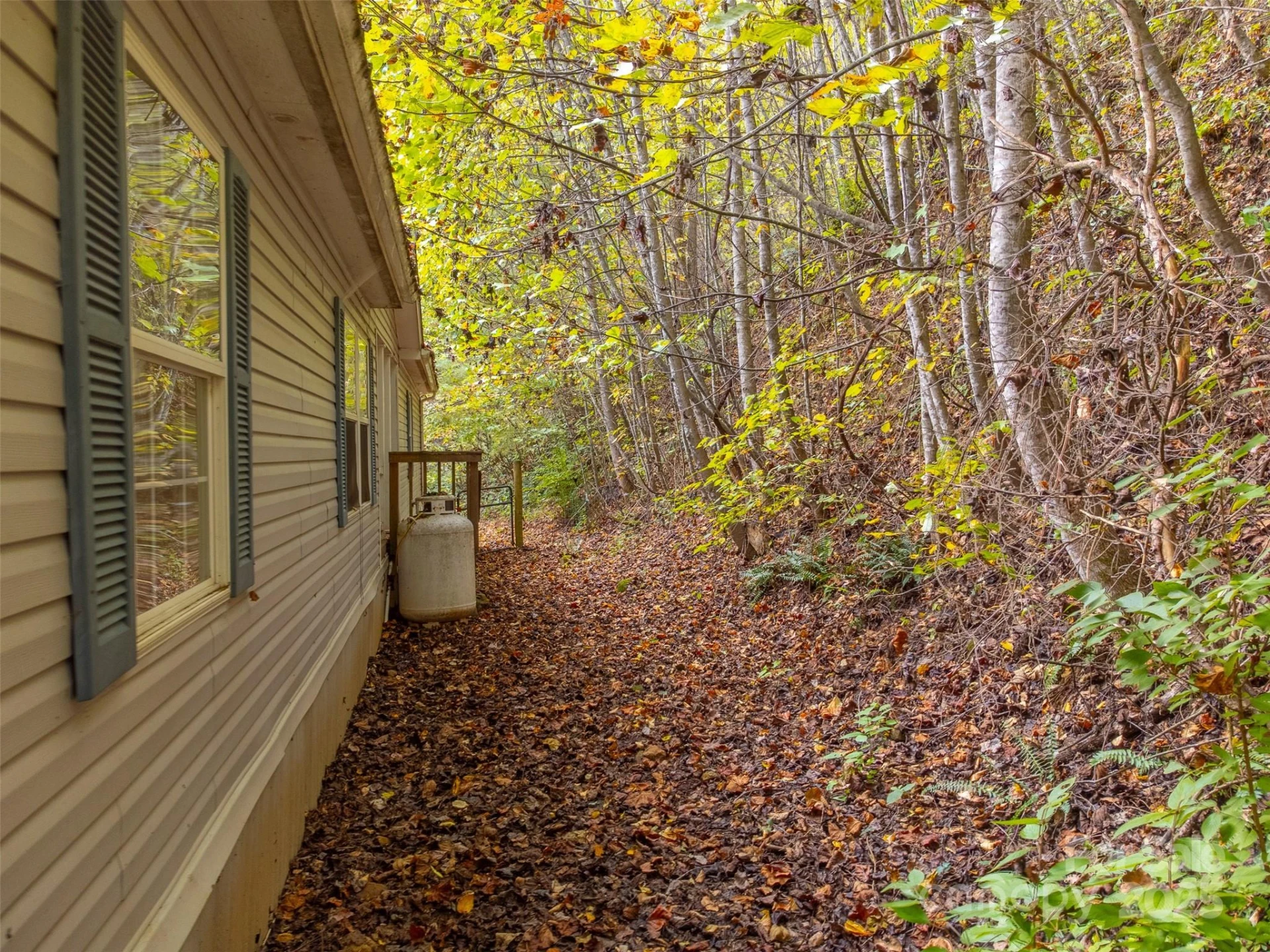 197 Savannah Meadows Trail - Photo 34