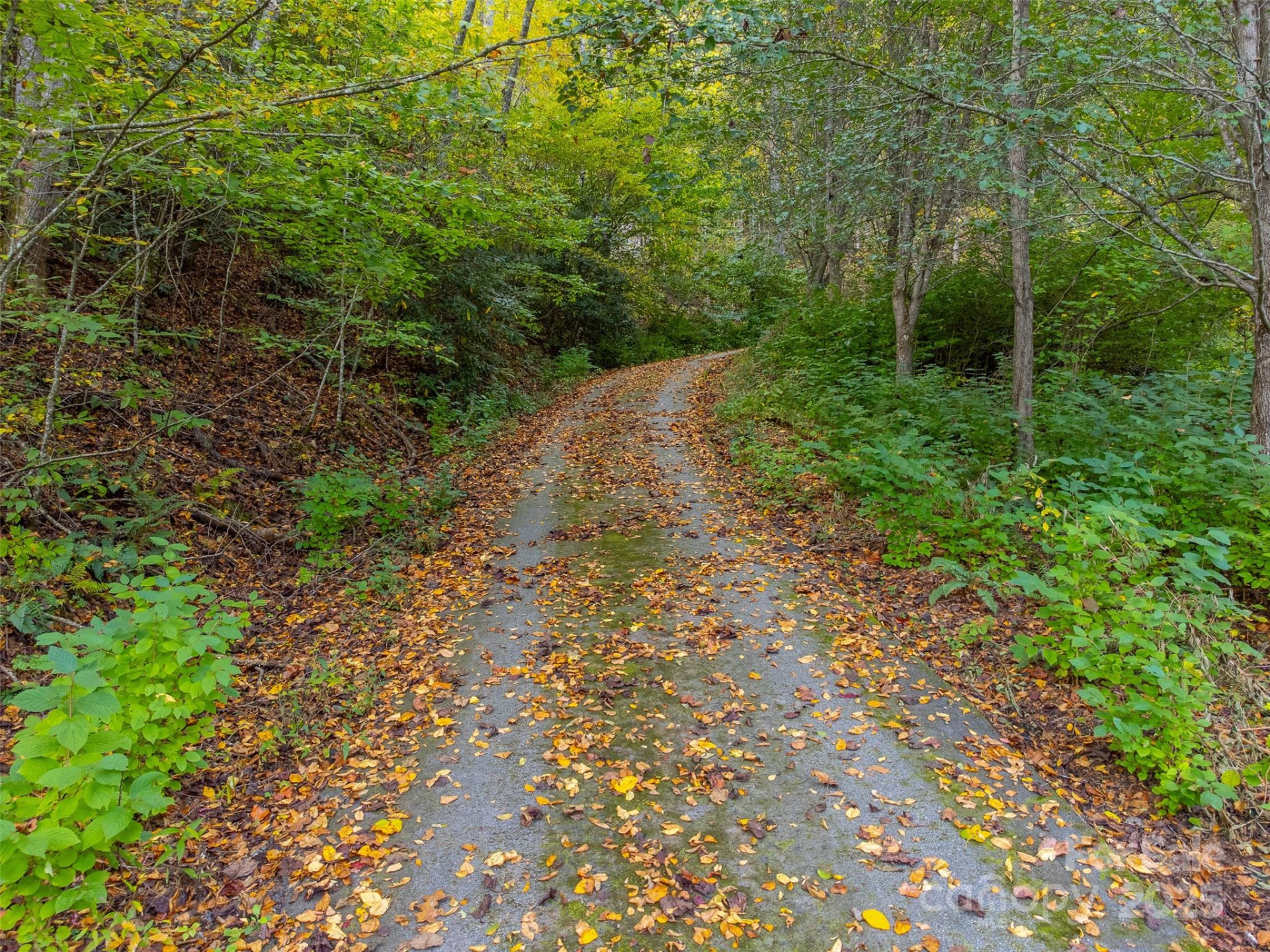 197 Savannah Meadows Trail - Photo 38