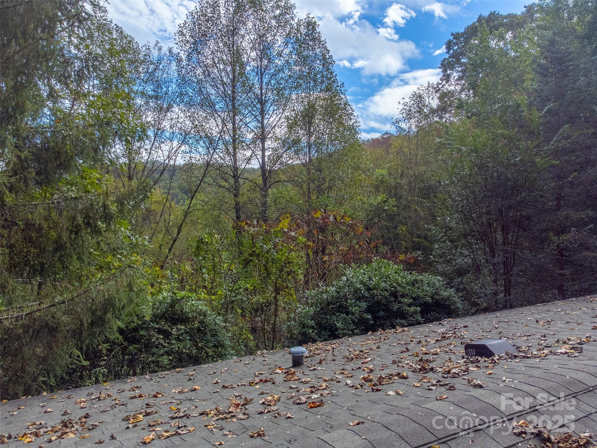 197 Savannah Meadows Trail - Photo 39