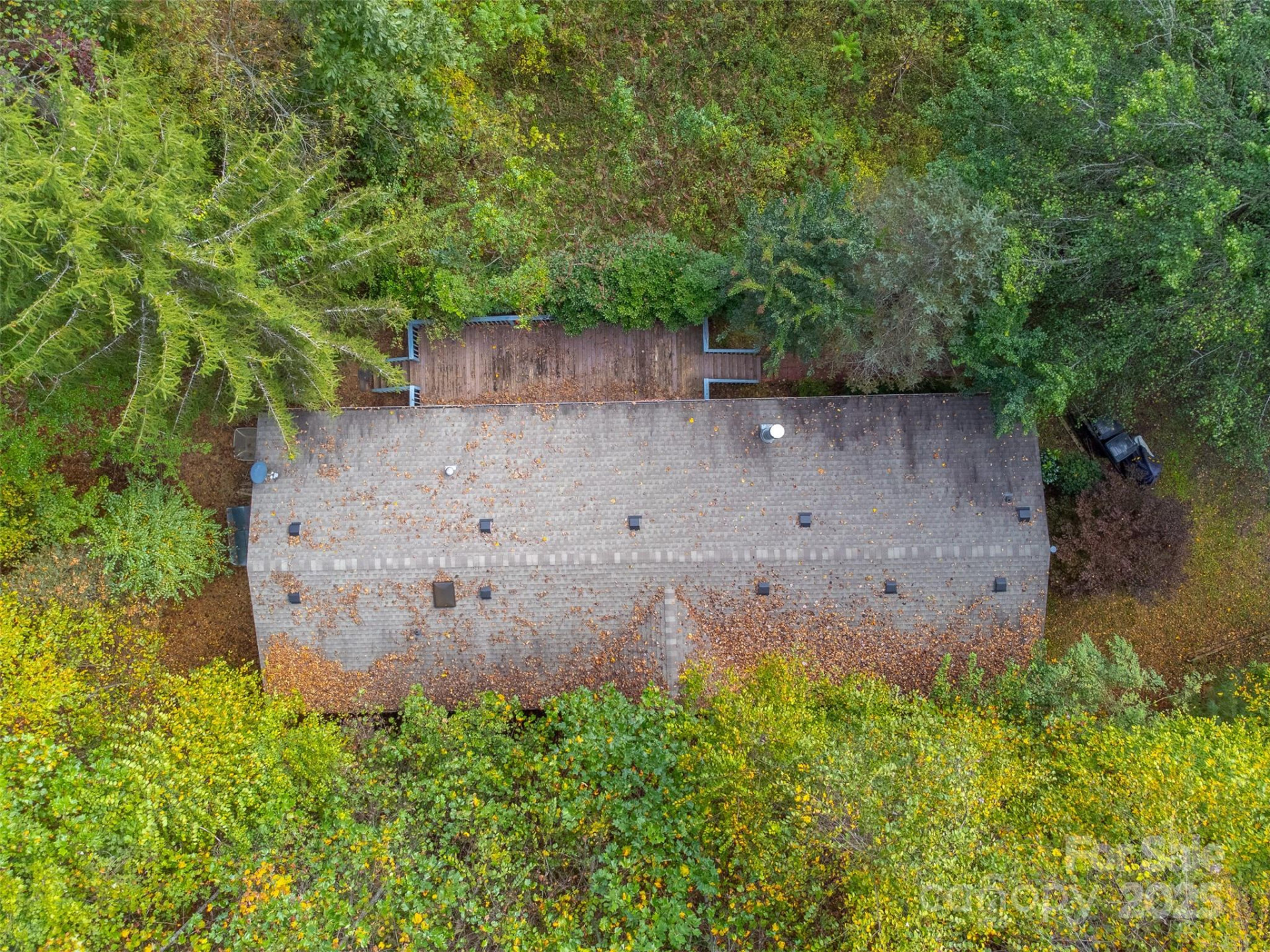 197 Savannah Meadows Trail - Photo 41