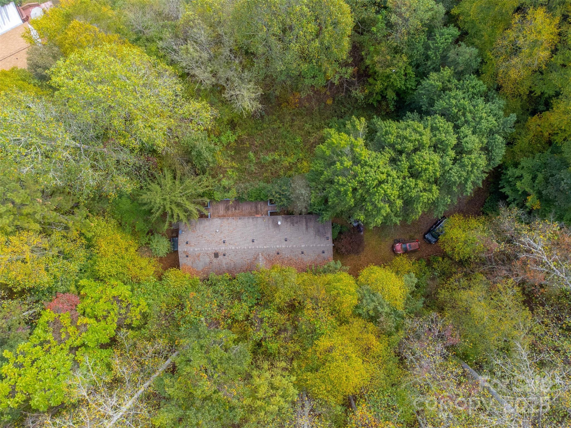 197 Savannah Meadows Trail - Photo 42