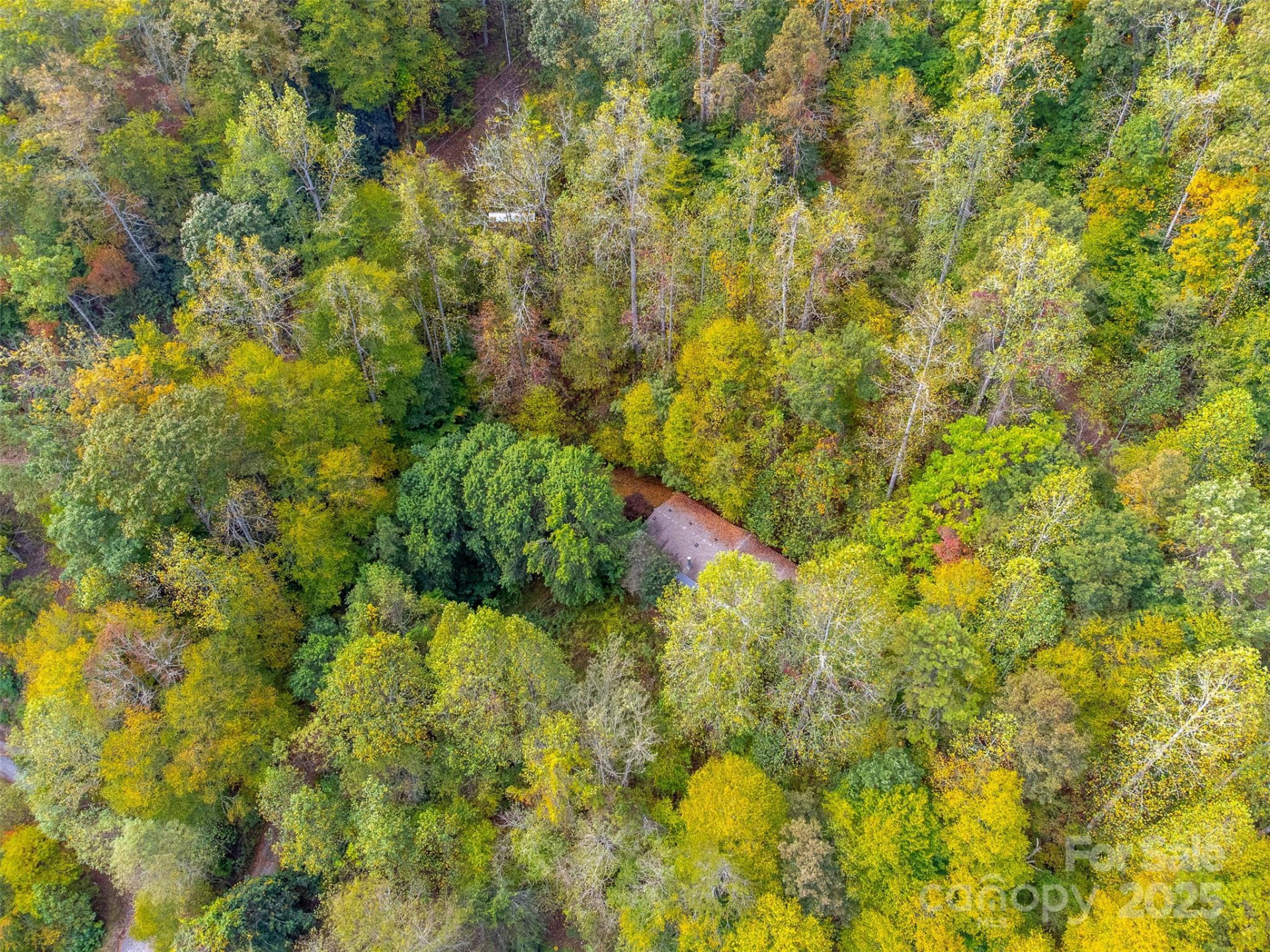 197 Savannah Meadows Trail - Photo 44