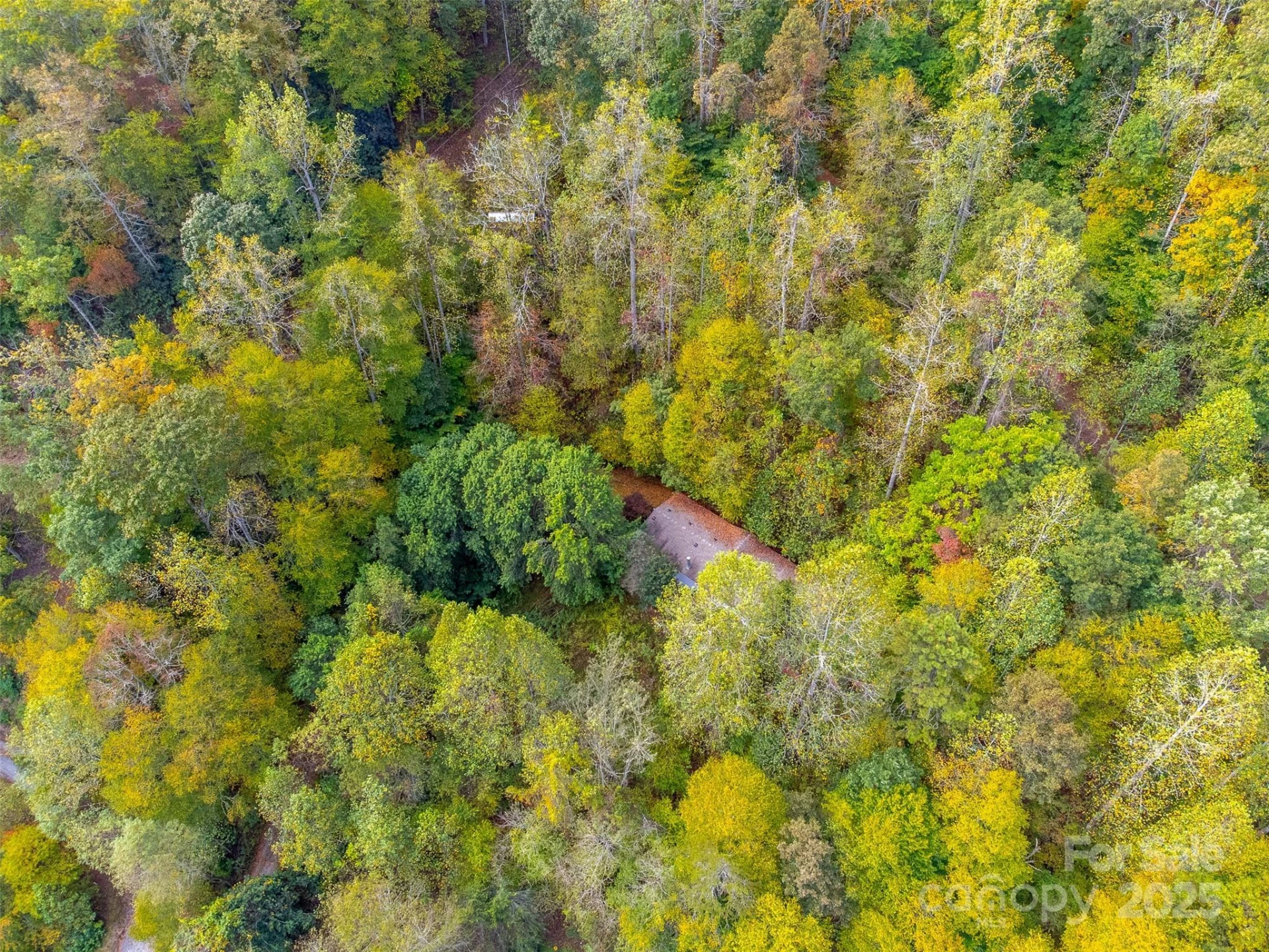 197 Savannah Meadows Trail - Photo 44