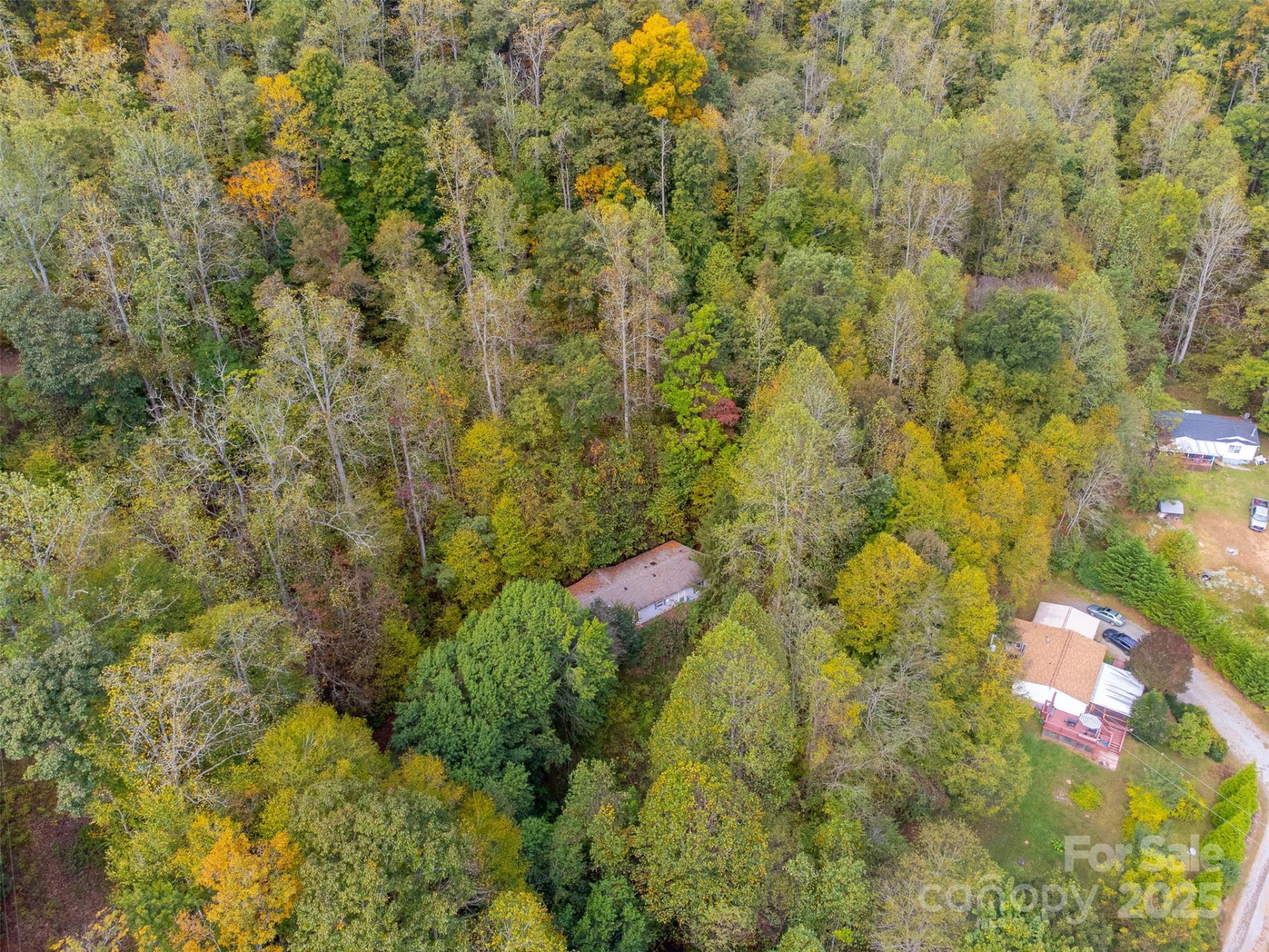 197 Savannah Meadows Trail - Photo 45