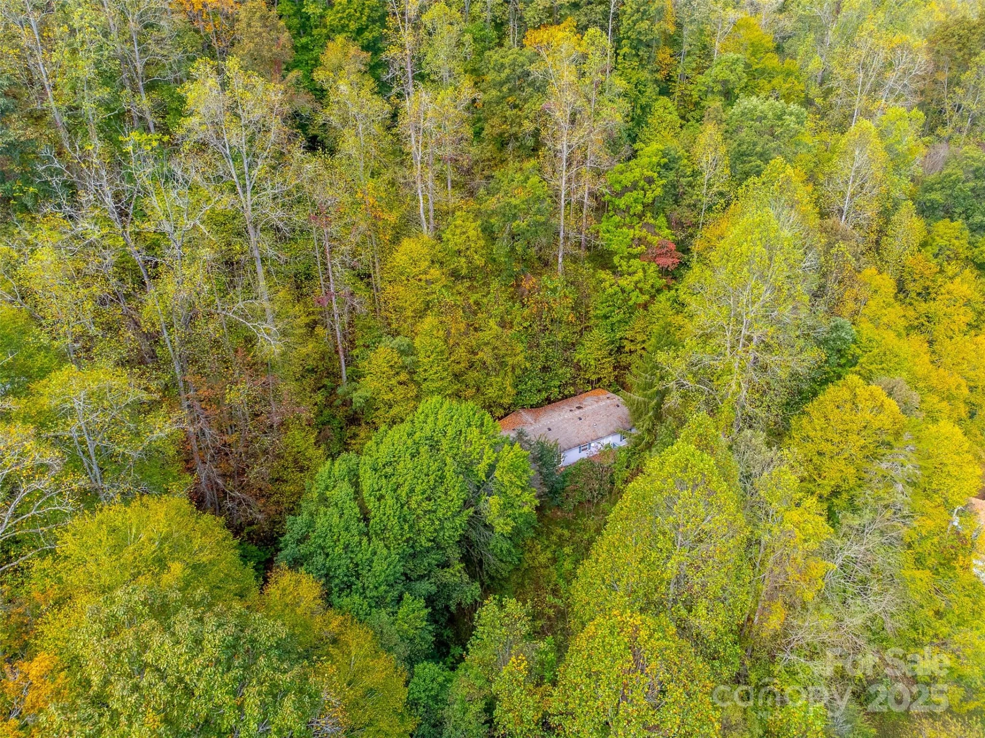 197 Savannah Meadows Trail - Photo 46