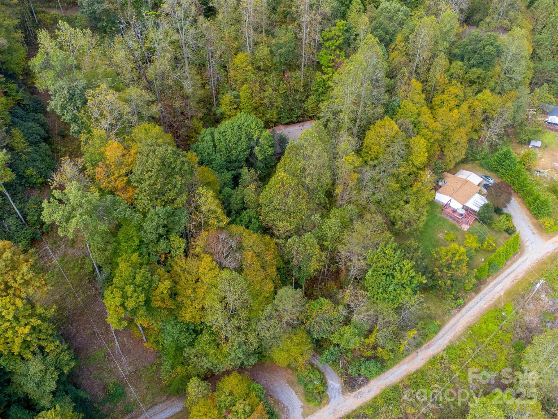 197 Savannah Meadows Trail - Photo 47