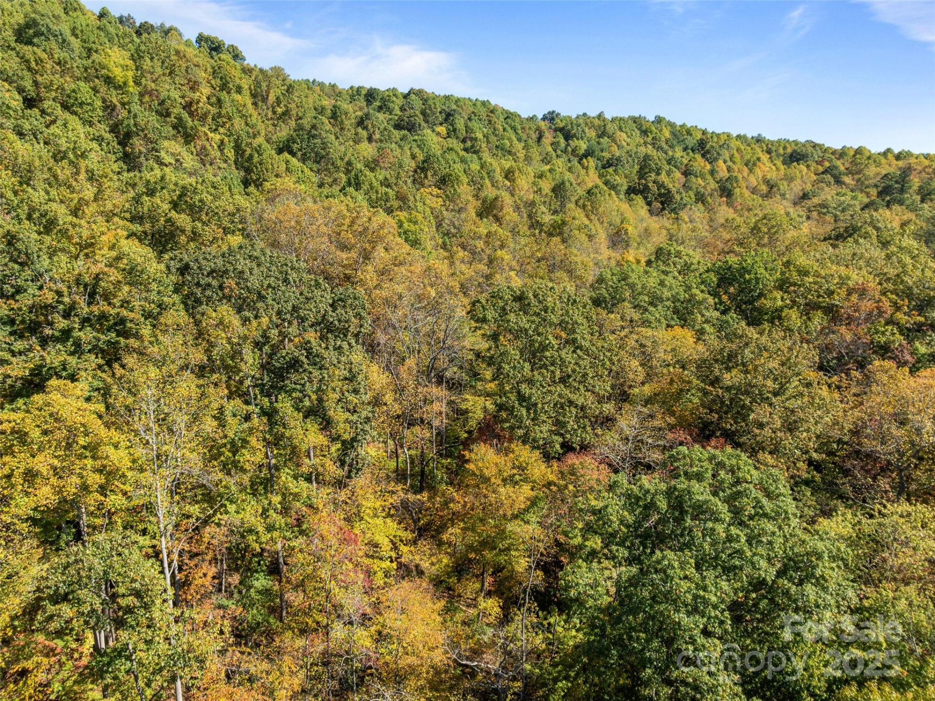 0000 Old Post Office Road - Photo 13