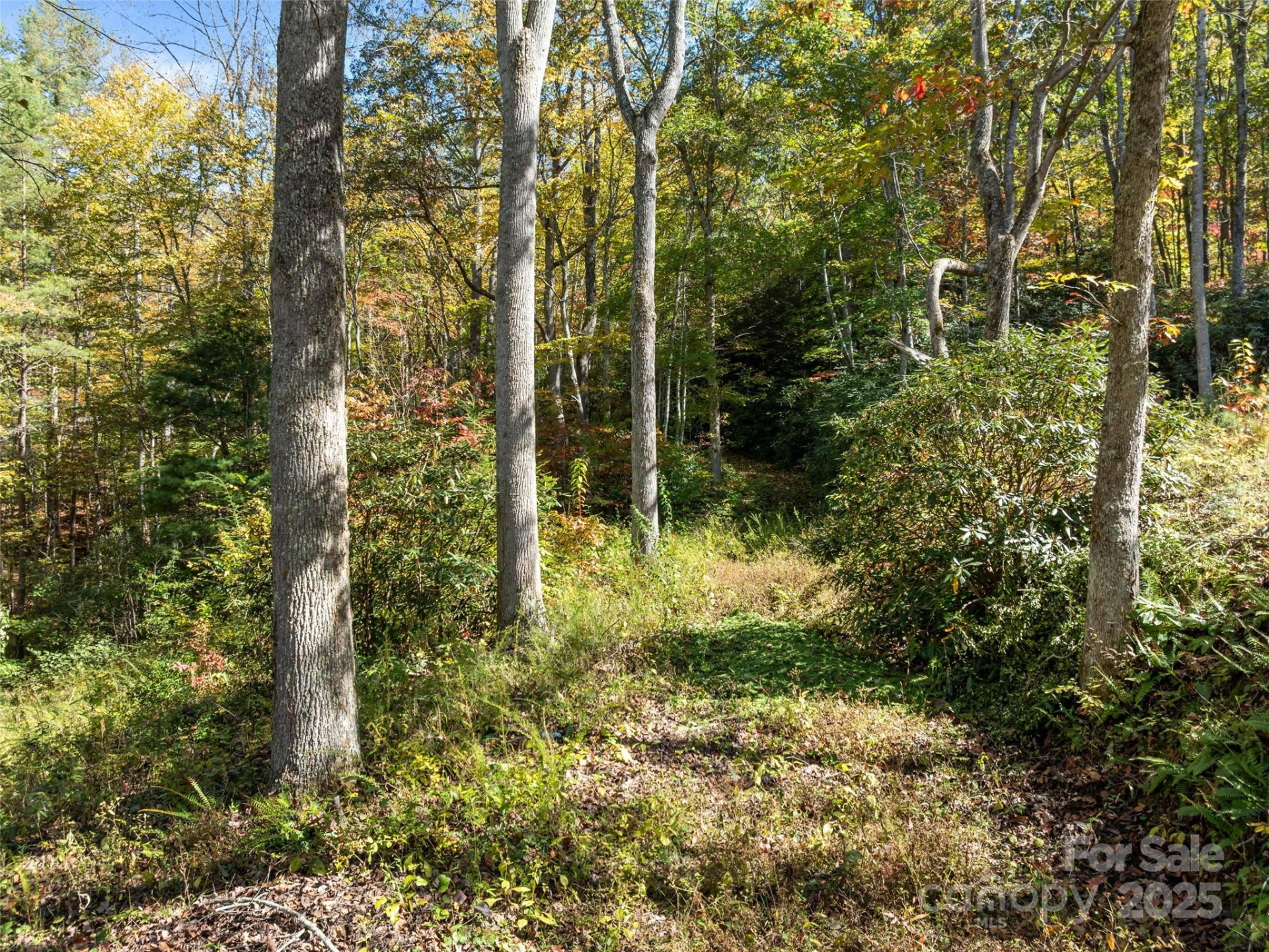 0000 Old Post Office Road - Photo 15