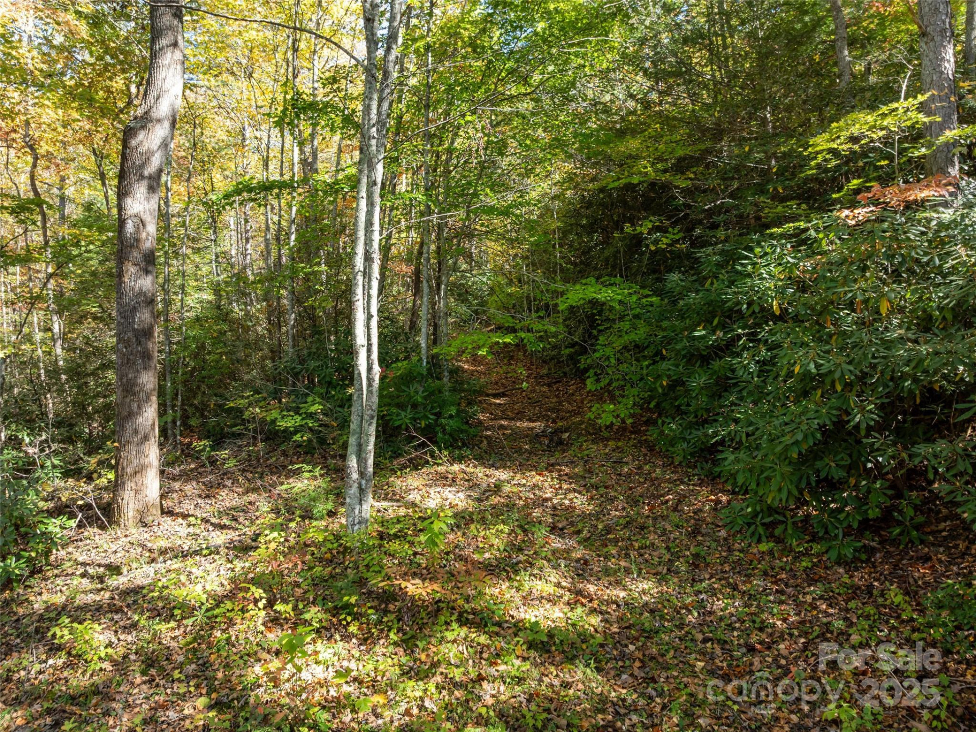 0000 Old Post Office Road - Photo 16