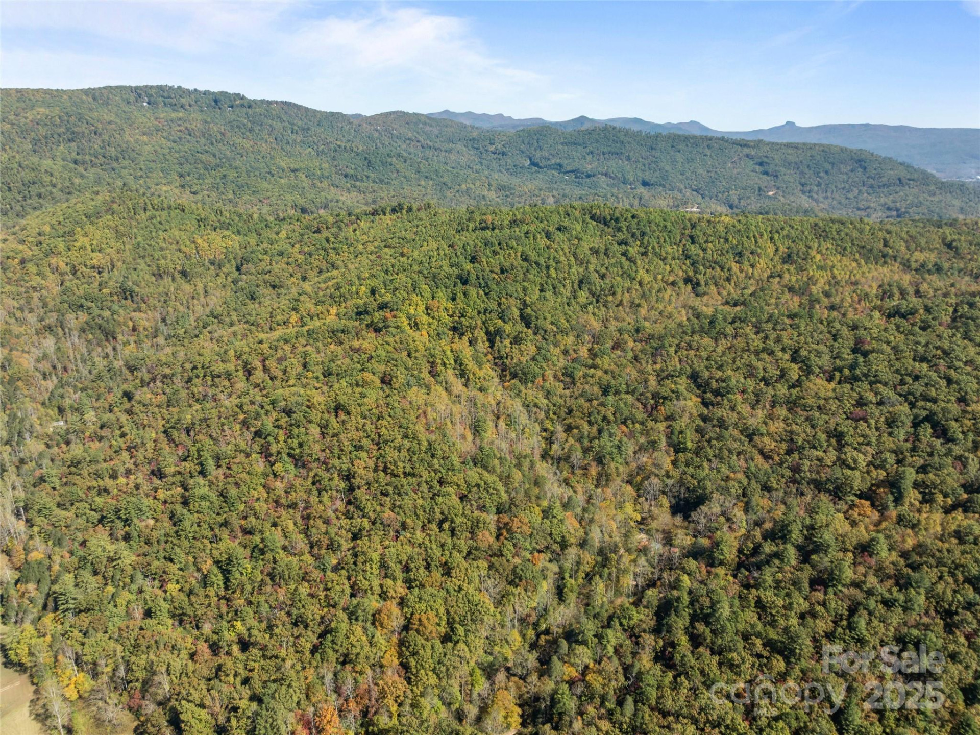 0000 Old Post Office Road - Photo 5