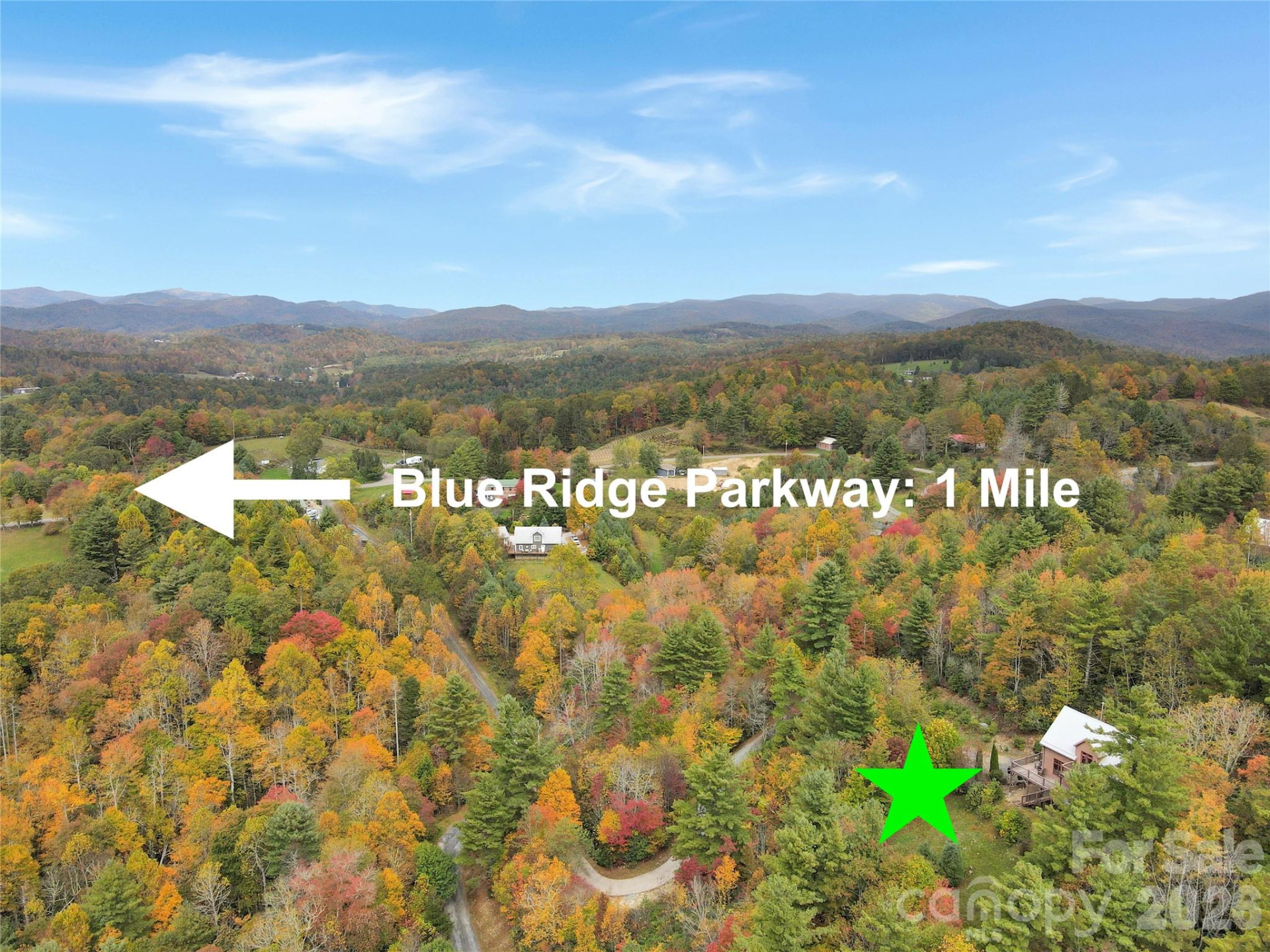 6365 Julius Drive - Photo 41