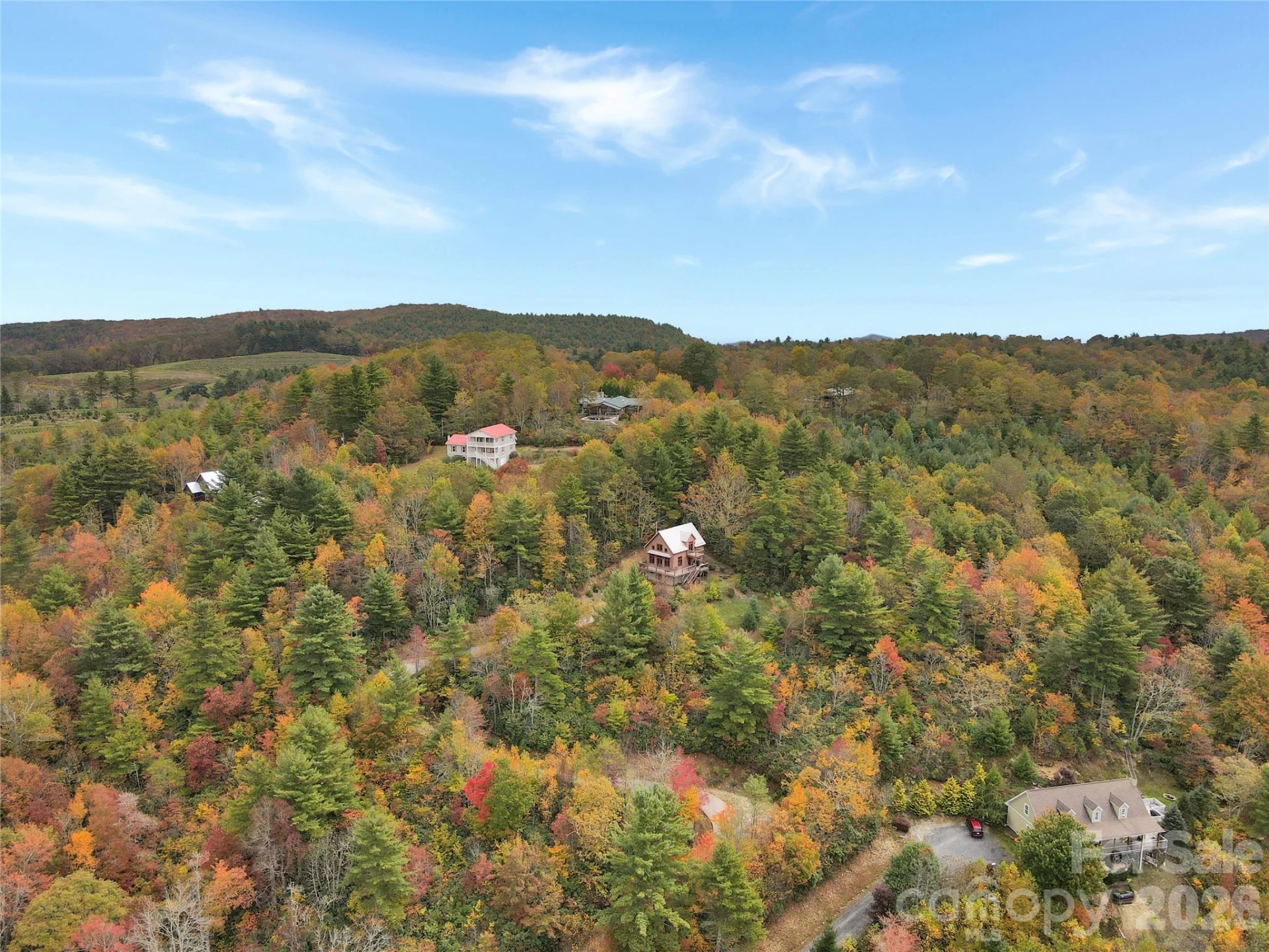 6365 Julius Drive - Photo 42