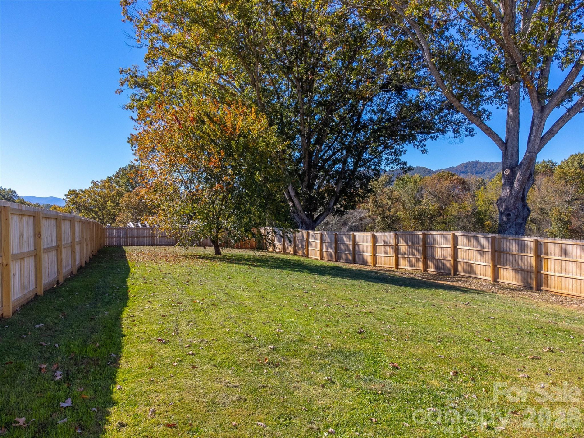 955 Canton Road - Photo 36