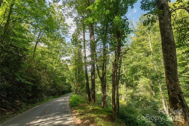 99999 Christian Creek Road, Swannanoa, NC, 28778