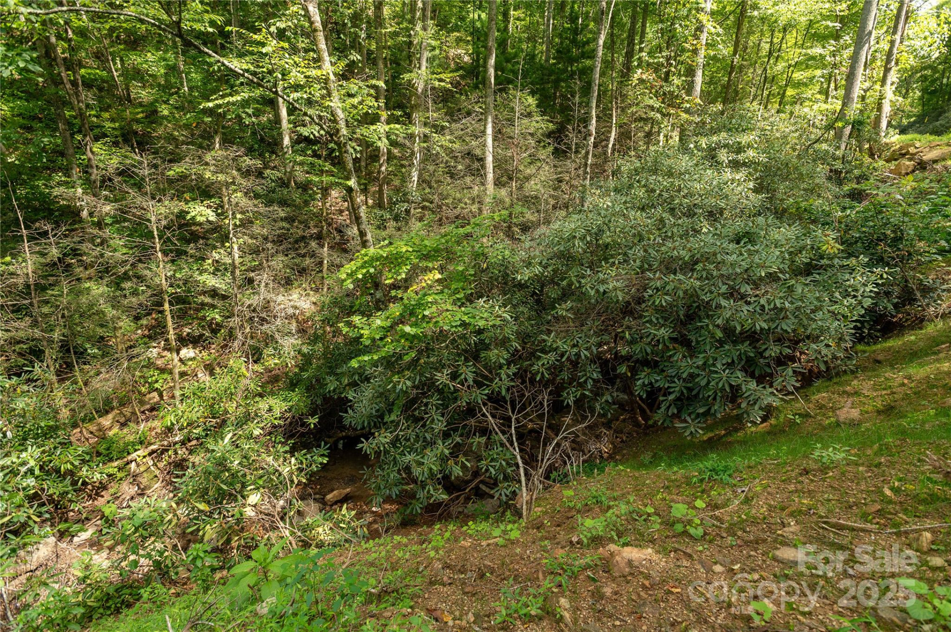 99999 Christian Creek Road - Photo 3