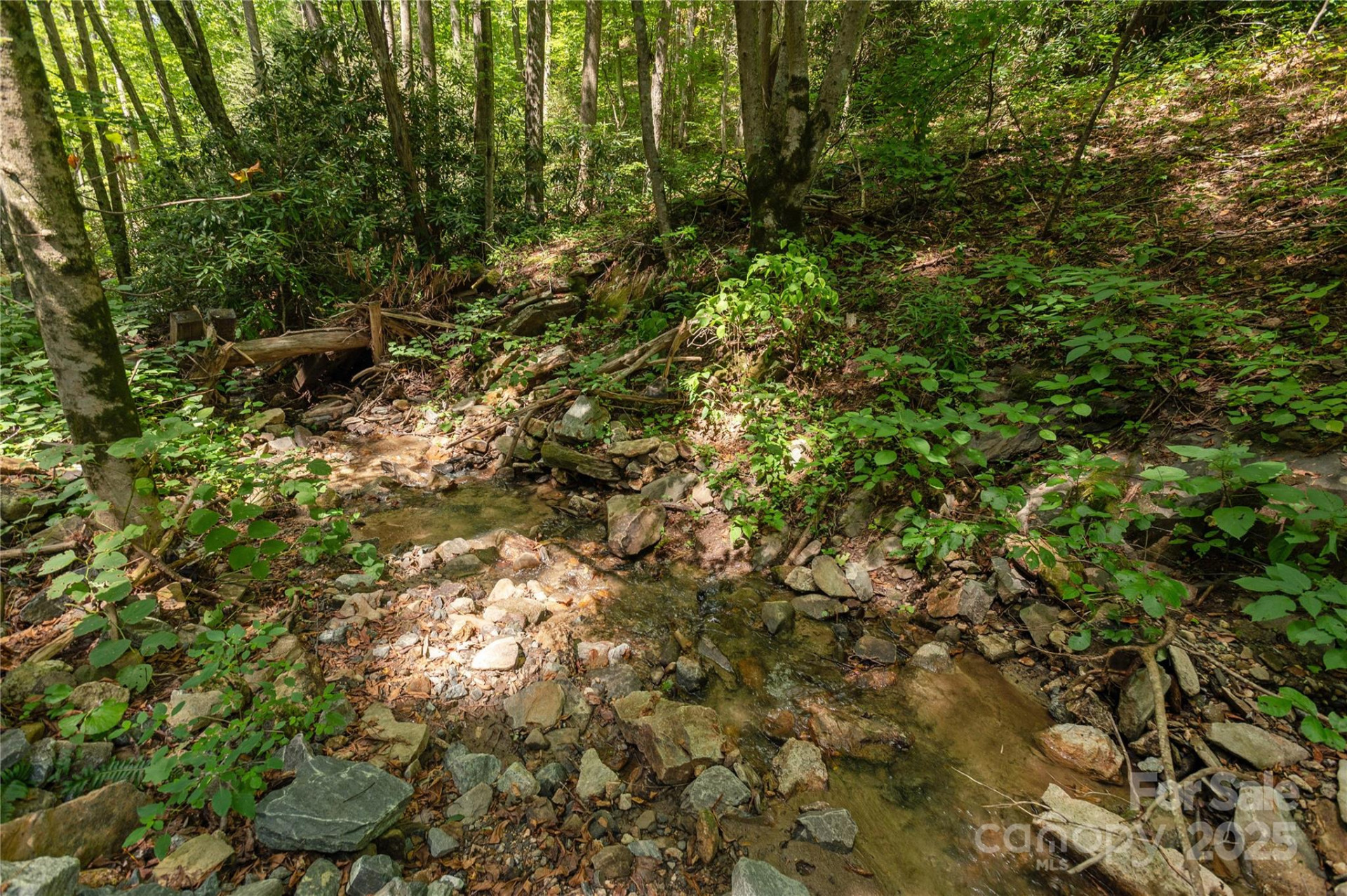 99999 Christian Creek Road - Photo 4