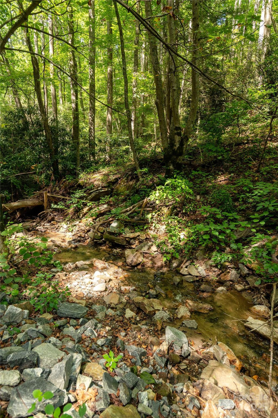 99999 Christian Creek Road - Photo 5