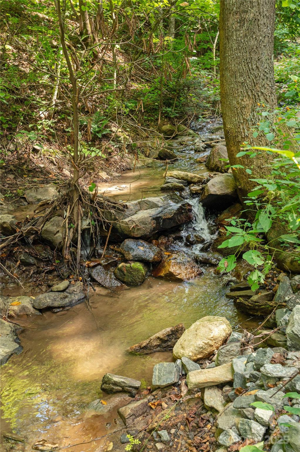 99999 Christian Creek Road - Photo 6