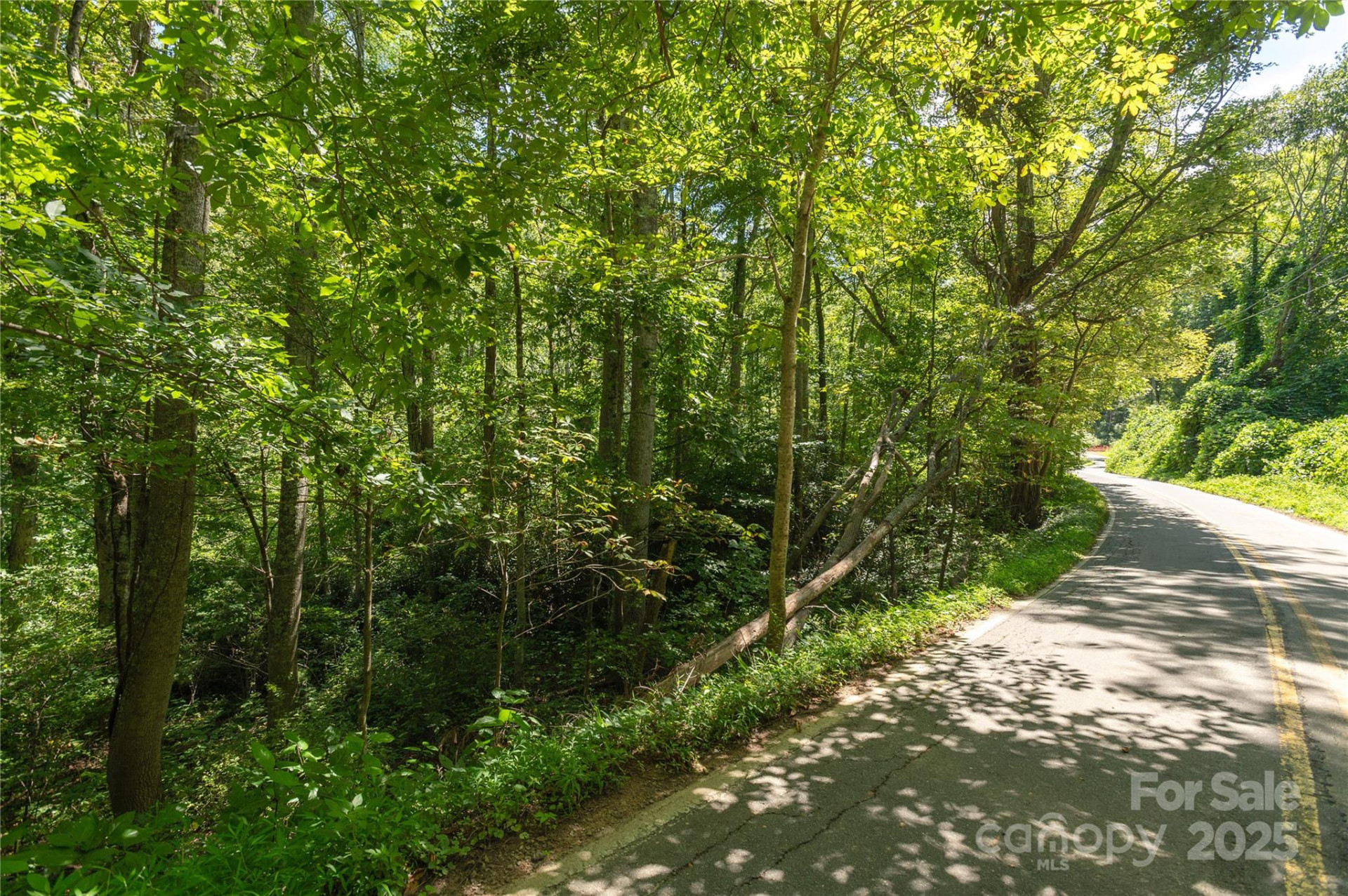 99999 Christian Creek Road - Photo 7