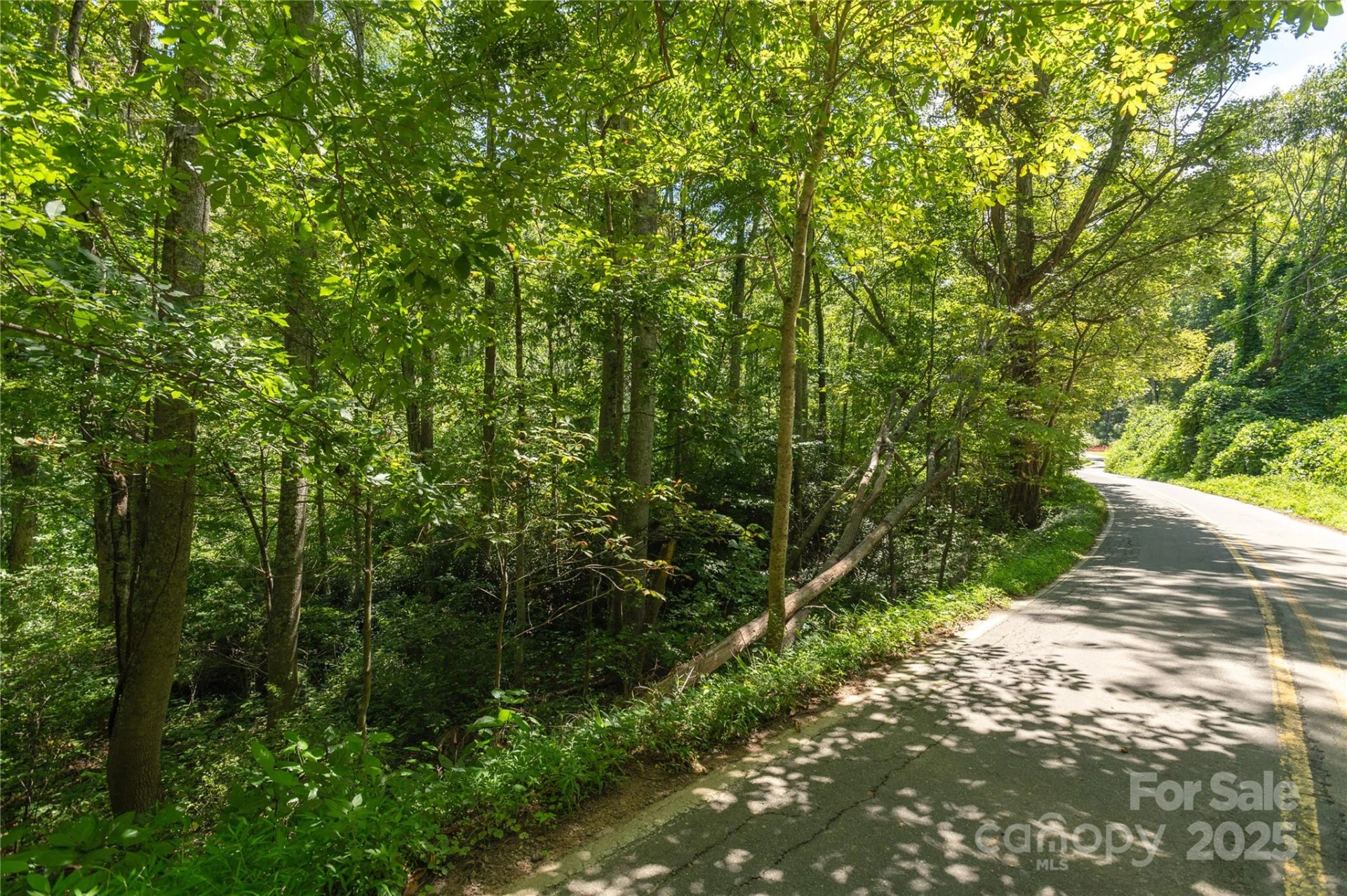 99999 Christian Creek Road - Photo 7