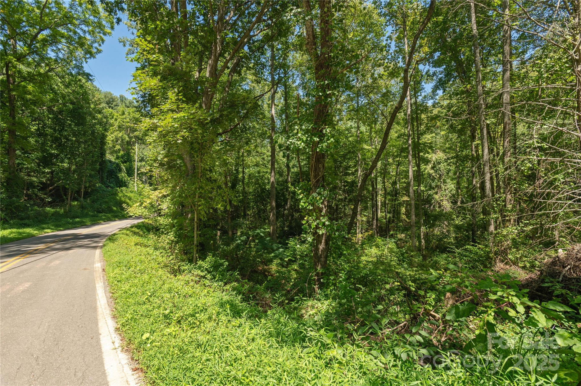 99999 Christian Creek Road - Photo 9