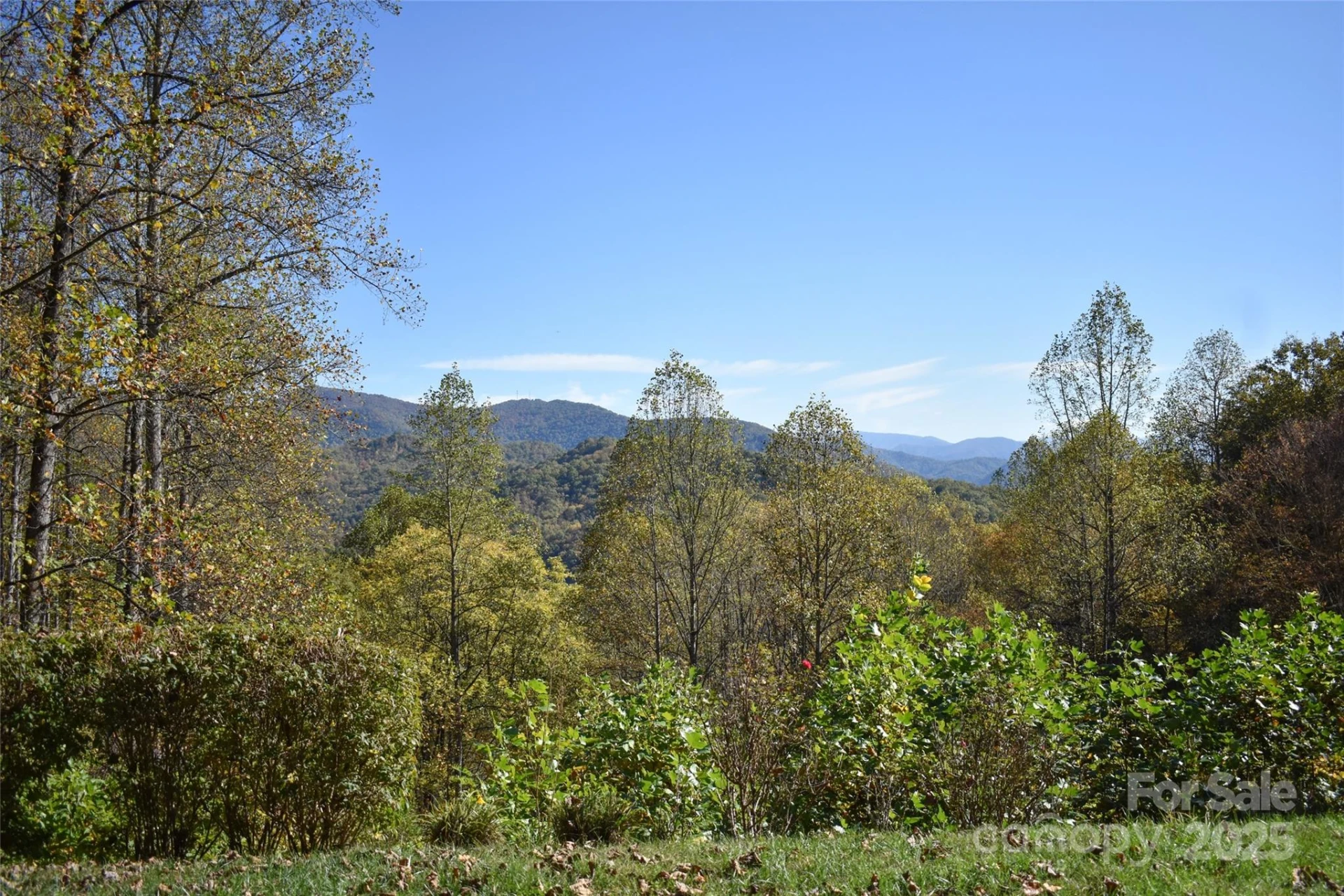 336 Berry Lane - Photo 24