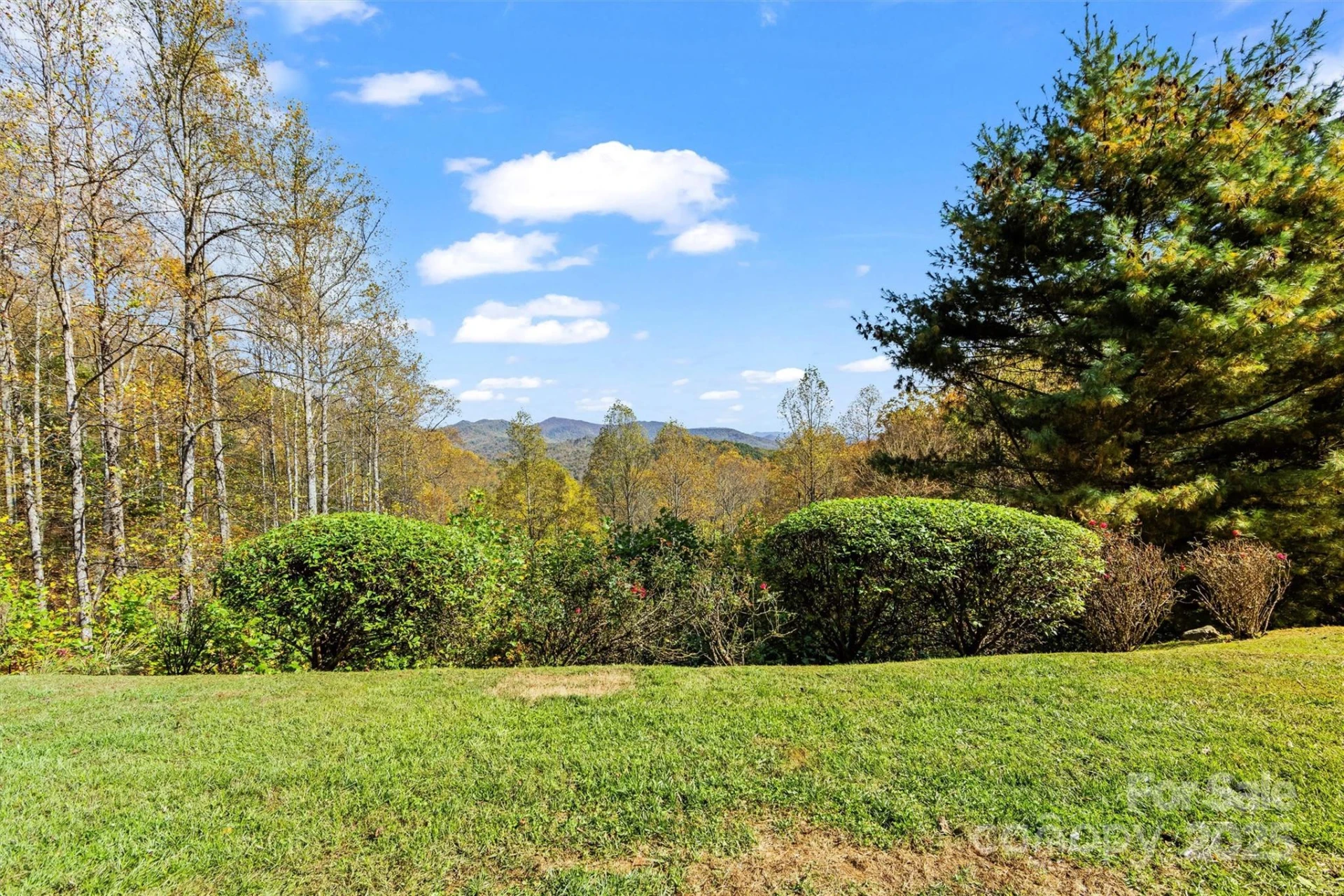 336 Berry Lane - Photo 4