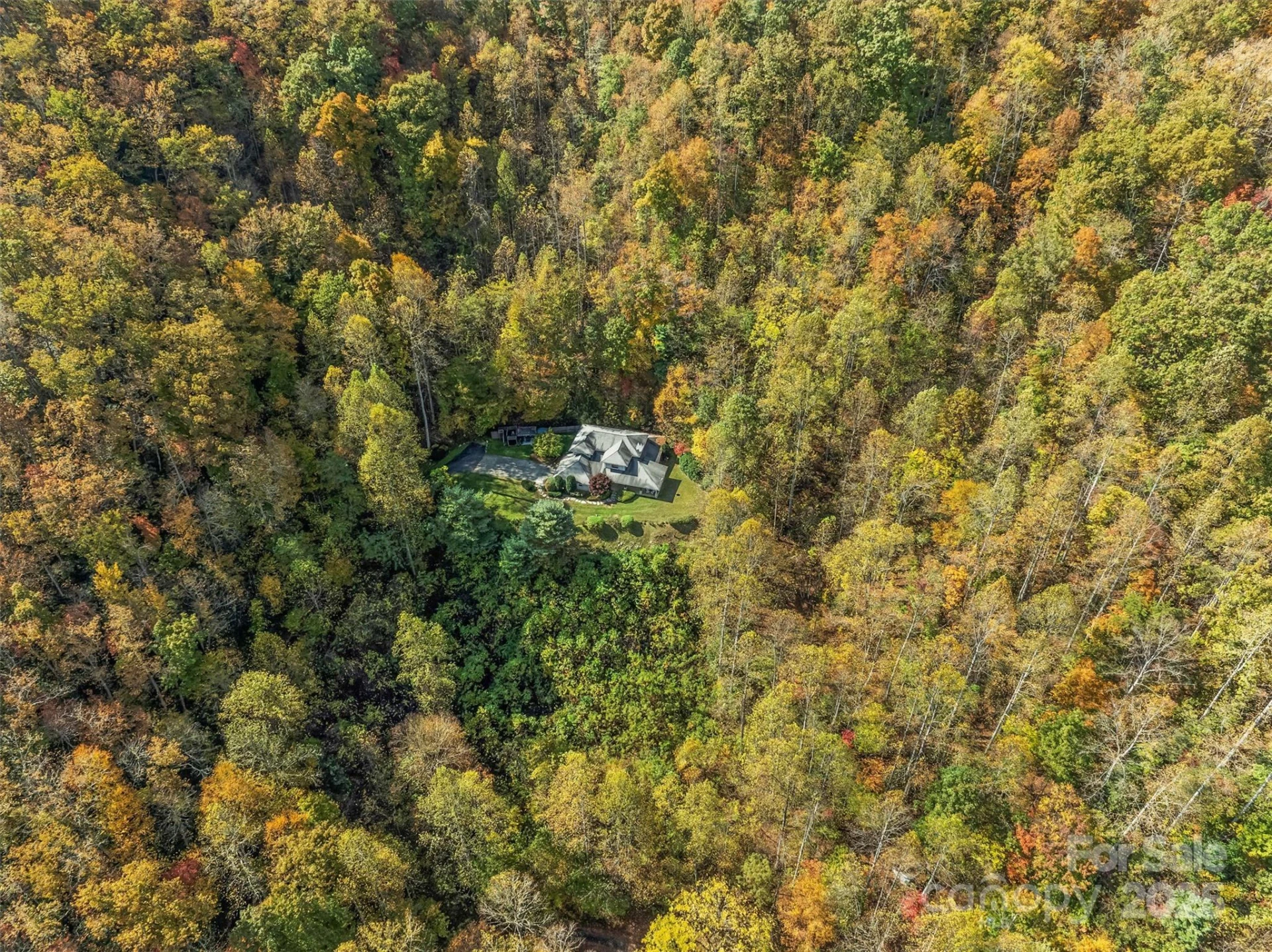 336 Berry Lane - Photo 39