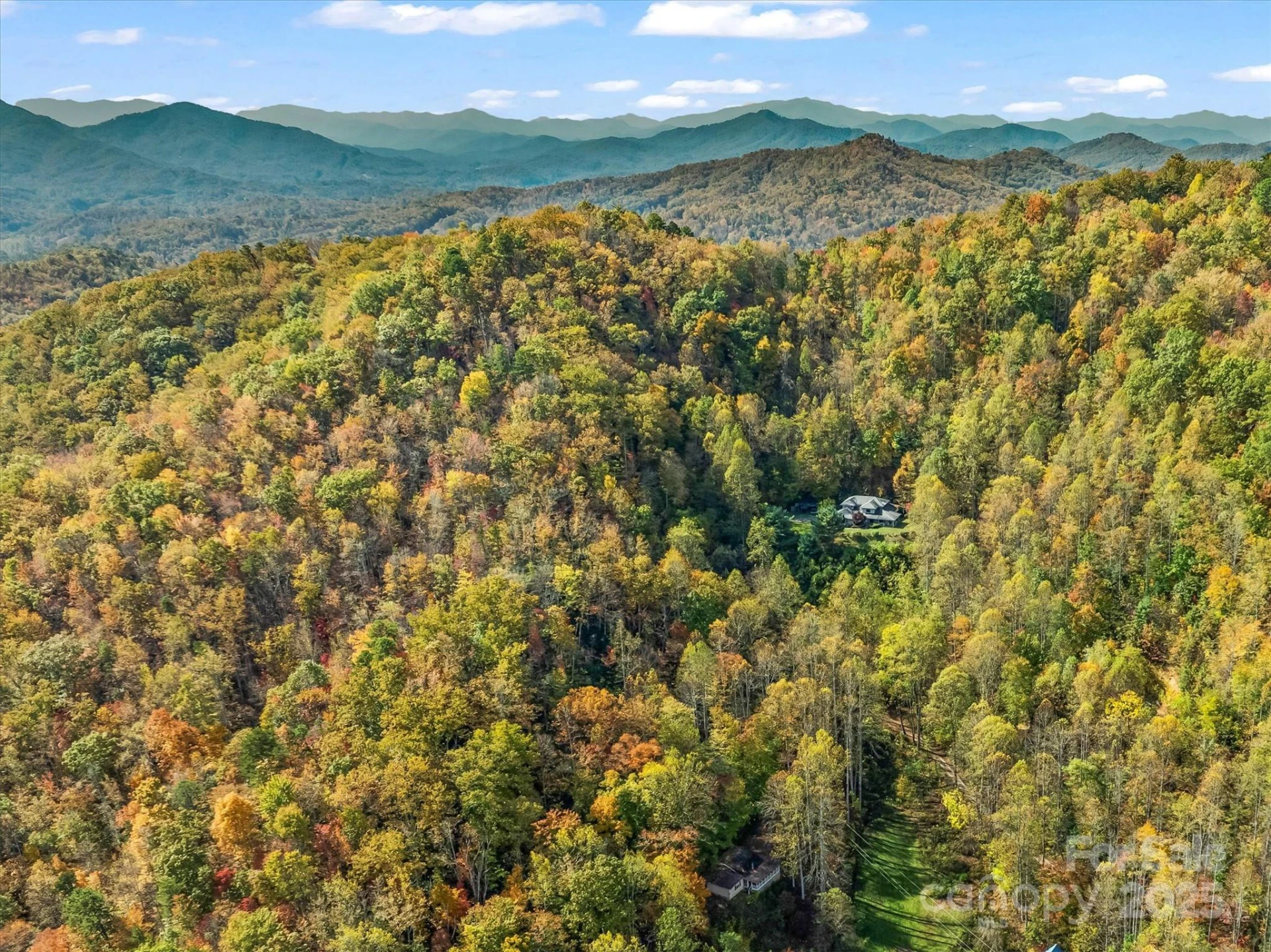 336 Berry Lane - Photo 40