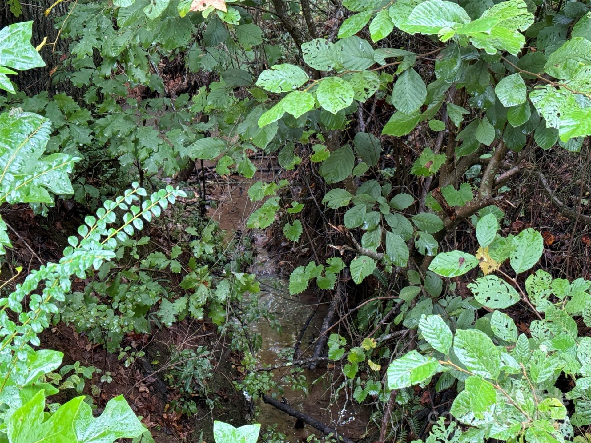 1054 Sandy Springs Road - Photo 33