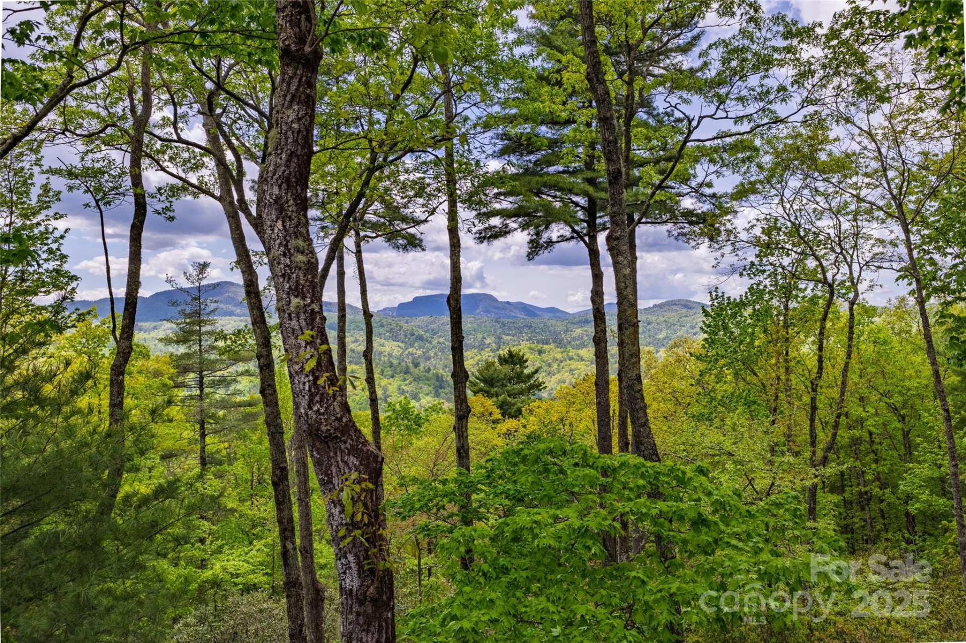 264 Jocassee Trail - Photo 4