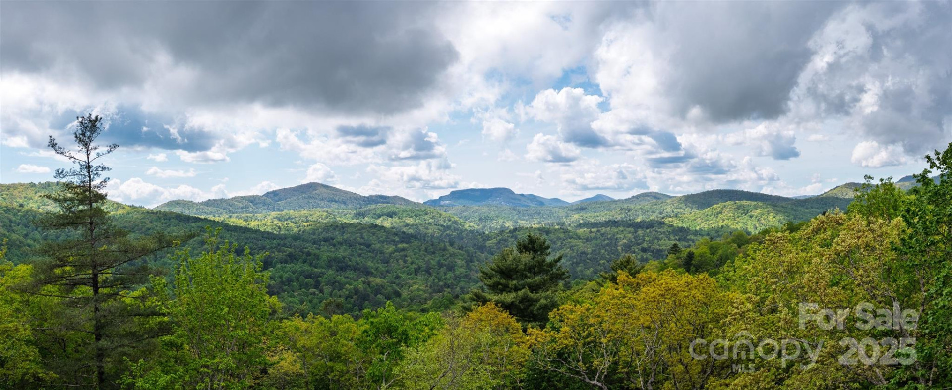 264 Jocassee Trail - Photo 8