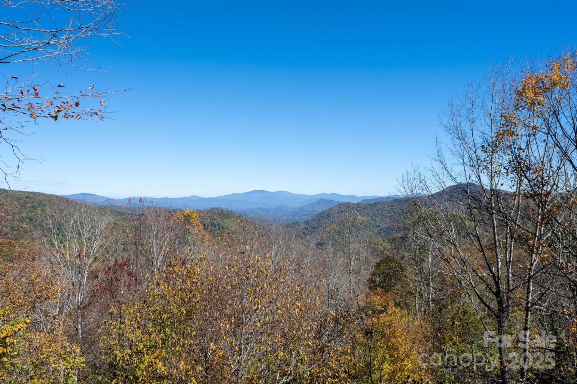 481 Overlook Drive - Photo 37