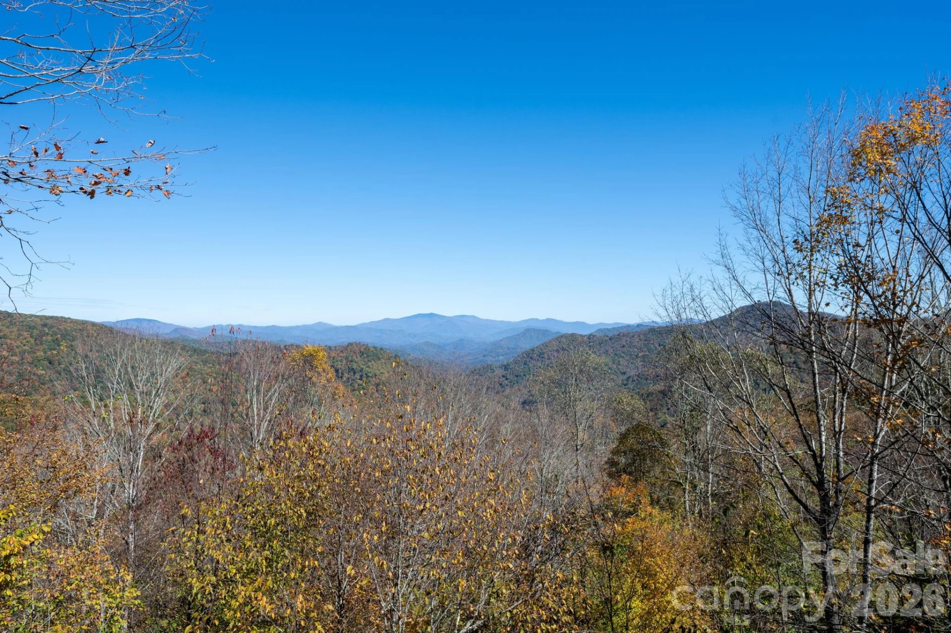 481 Overlook Drive - Photo 73