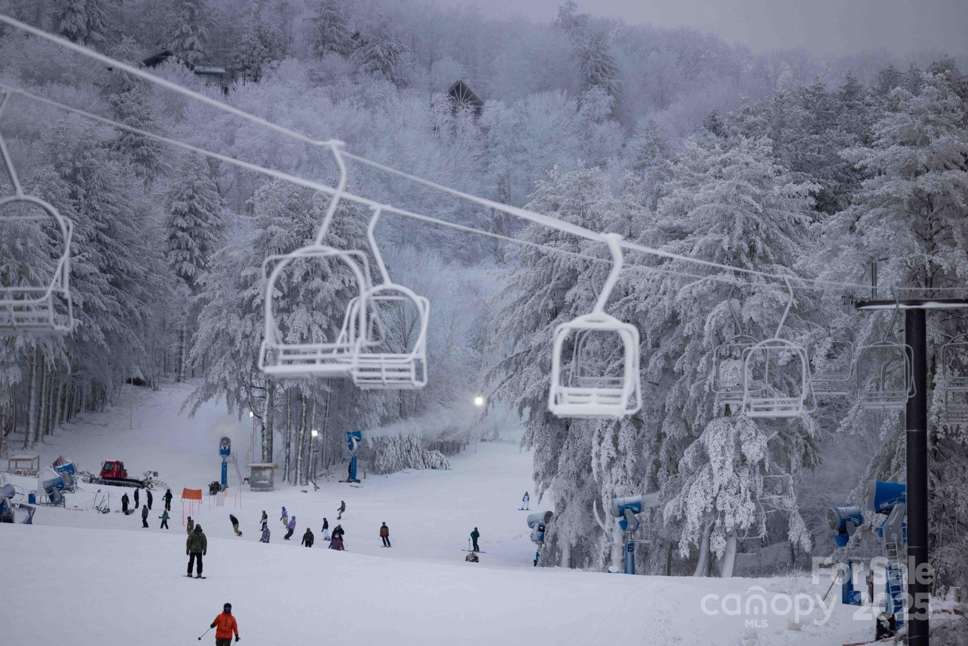 481 Overlook Drive - Photo 43